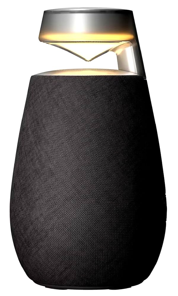 Amazon.com: LG XO2TBK XBOOM 360 Wireless Speaker with